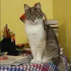 Отзыв от Ольга Озерова